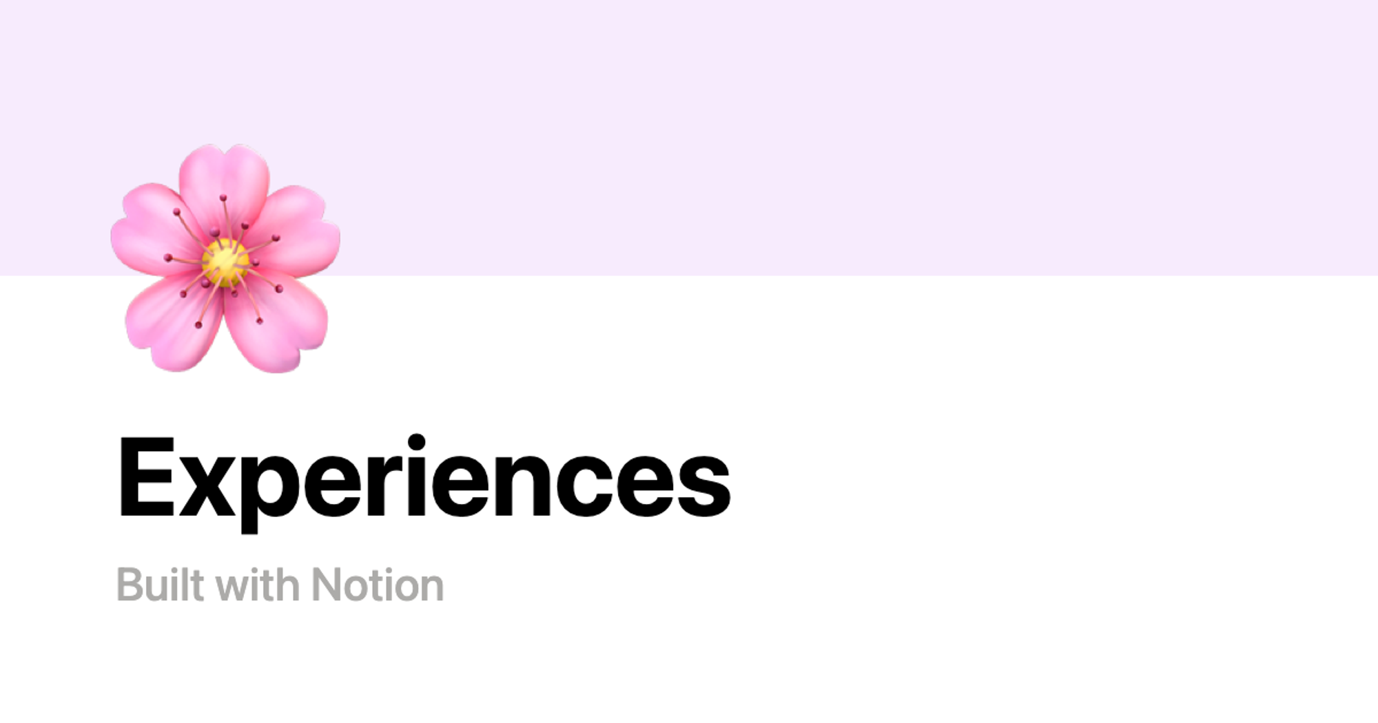 Experiences | Notion